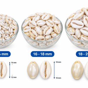 Natural Cowrie Shell 12-14mm/16-18mm/18–20mm | White Sea Shell Beads for Jewelry Making