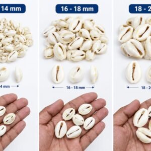 Natural Cowrie Shell 12-14mm/16-18mm/18–20mm | White Sea Shell Beads for Jewelry Making